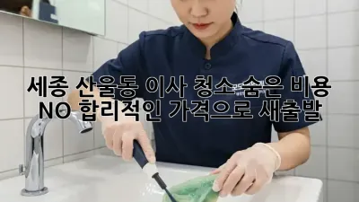 세종 산울동 이사 청소: 숨은 비용 NO! 합리적인 가격으로 새출발!